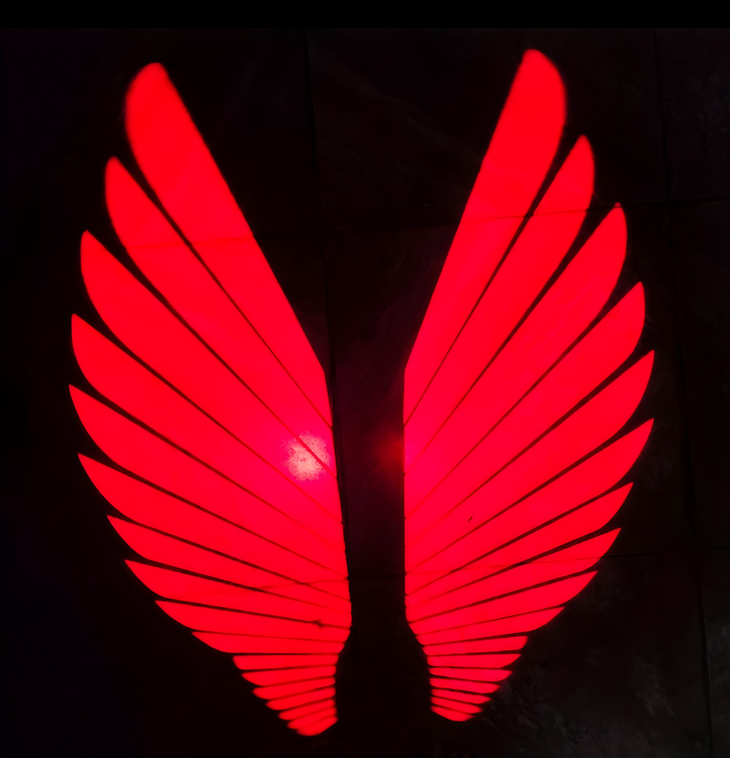 Angel Wings LED Bike Light for Motorcycles & Bikes - Image 6