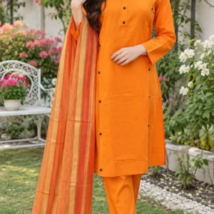 3 Pcs Women's Stitched Linen Plain Suit