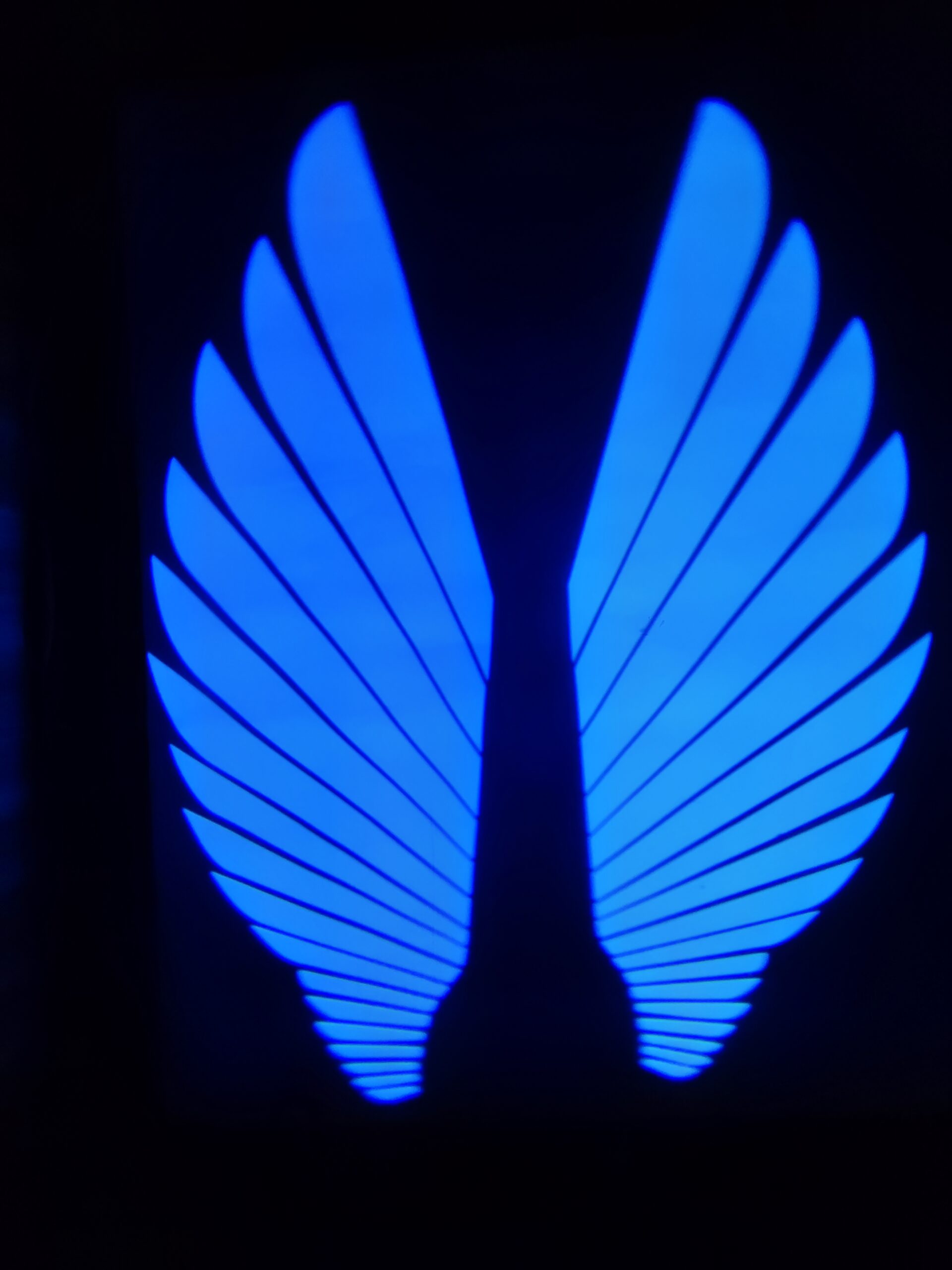 Angel Wings LED Bike Light for Motorcycles & Bikes - Image 7