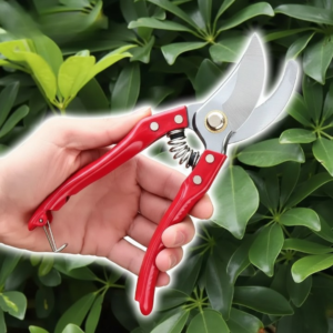High Carbon Steel Pruning Shears Cutter โ Stainless Steel Gardening Scissor for Plant & Branch Cutting
